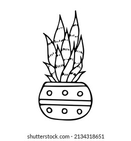 Hand drawn doodle aloe, Vector succulent in pot. Houseplant. Outline.