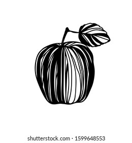 Hand drawn doodle apple. Black on white illustration