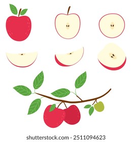 Mano dibujada doodle juego de manzanas. Fruta entera, mitad y rebanada aislada en blanco.