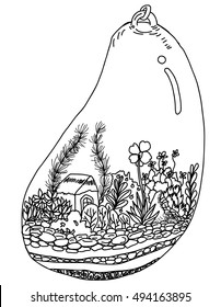 Hand drawn and doodle art Garden Terrariums