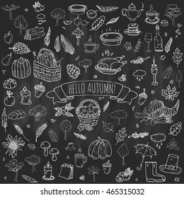 Hand drawn doodle Autumn icons set. Vector illustration. Fall symbols collection. Cartoon various seasonal elements: turkey, harvest, vegetables, pumpkin pie, leaves, trees, hot tea, wine, mushrooms