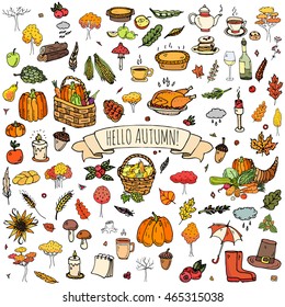 Hand drawn doodle Autumn icons set. Vector illustration. Fall symbols collection. Cartoon various seasonal elements: turkey, harvest, vegetables, pumpkin pie, leaves, trees, hot tea, wine, mushrooms