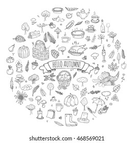 Hand drawn doodle Autumn icons set. Vector illustration. Fall symbols collection. Cartoon various seasonal elements: turkey, harvest, vegetables, pumpkin pie, leaves, trees, hot tea, wine, mushrooms