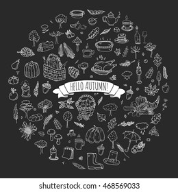 Hand drawn doodle Autumn icons set. Vector illustration. Fall symbols collection. Cartoon various seasonal elements: turkey, harvest, vegetables, pumpkin pie, leaves, trees, hot tea, wine, mushrooms