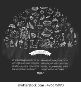Hand drawn doodle Autumn icons set. Vector illustration. Fall symbols collection. Cartoon various seasonal elements: turkey, harvest, vegetables, pumpkin pie, leaves, trees, hot tea, wine, mushrooms