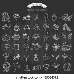 Hand drawn doodle Autumn icons set. Vector illustration. Fall symbols collection. Cartoon various seasonal elements: turkey, harvest, vegetables, pumpkin pie, leaves, trees, hot tea, wine, mushrooms