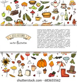 Hand drawn doodle Autumn icons set. Vector illustration. Fall symbols collection. Cartoon various seasonal elements: turkey, harvest, vegetables, pumpkin pie, leaves, trees, hot tea, wine, mushrooms