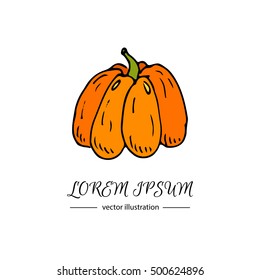Hand drawn doodle Autumn pumpkin icon. Vector illustration Thanksgiving collection. Cartoon celebration element: colorful orange bittersweet pumpkin, traditional harvest vegetable holiday symbol.