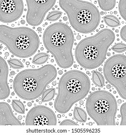 Hand drawn doodle avocado seamless pattern. Whole avocado, sliced pieces sketch. Tropical summer fruit engraved style background. Detailed food drawing.  