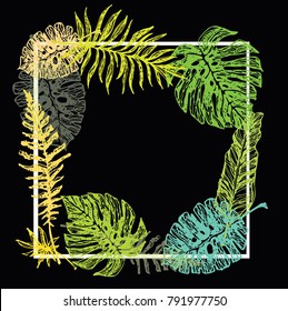 Hand drawn doodle  banner with palm tree leaves. 