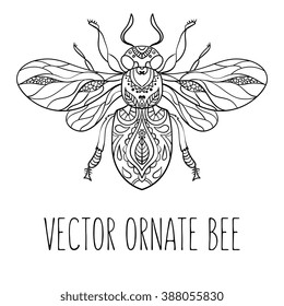 Hand drawn doodle bee illustration. Decorative outline ornate bee drawing with decorative ornaments