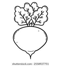 Hand drawn doodle beet isolated on a white background. Vector illustration.