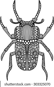 Hand drawn doodle beetle illustration. Ornamental outline bug drawing