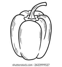 Dibujado a mano doodle pimiento morrón aislado sobre fondo blanco. Ilustración vectorial.