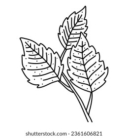 Handgezeichnete Blattlinie aus Birkenblättern. Line Art Stil einzeln auf weißem Hintergrund.