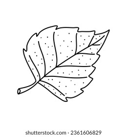 Hand drawn doodle of birch leaf outline. Line art style isolated on white background.