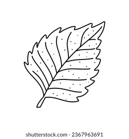 Doodle dibujado a mano del contorno de la hoja de abedul. Estilo de línea de arte aislado en un fondo blanco.