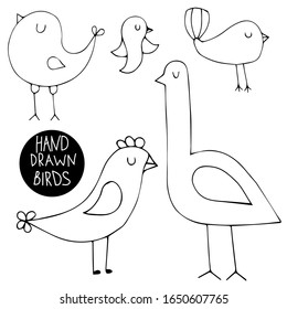 Hand drawn doodle birds set. Abstract vector collection. Ornitology collection.Isolated objects on white