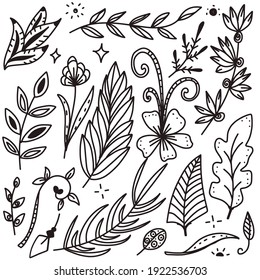 Hand drawn doodle in black line floral and branches of leaves vector set