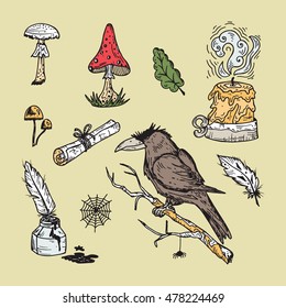Hand Drawn Doodle Black Magic Vector Set. Raven, poisonous mushrooms, ancient paper scroll, candle, inkwell