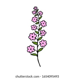 Hand drawn doodle blooming flower. 
Vector illustration of a flower. Sketch
 element for graphic and web design.