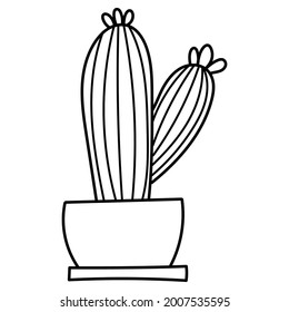 hand drawn doodle botanical cactus plant succulent clipart illustration vector EPS10