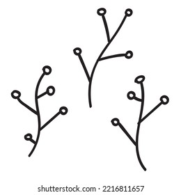 Hand drawn doodle botanical elements three branches.
Simple childish icons best for rustic style design. Isolated on white background