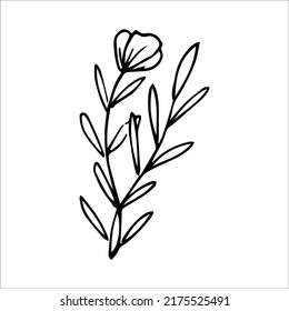 hand drawn doodle botanical floral element for floral design concept