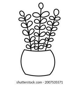 hand drawn doodle botanical plant cactus clip art illustration vector EPS10