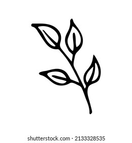 Hand drawn doodle branch with leaves. Vector black and white twig. Outline.