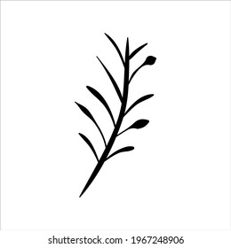 Hand drawn doodle branch. Vector floral illustration isolated on white background.