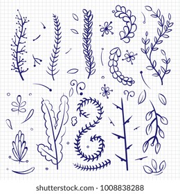 Hand drawn doodle branches and decorative elements isolated. Vector illustration