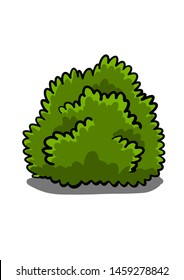 Hand drawn doodle bush isolated on white background for coloring book. Vector illustration.