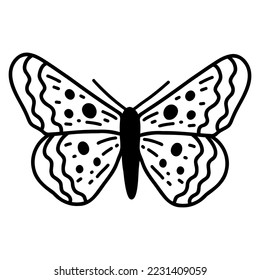 Hand drawn doodle butterfly. Vector sketch illustration, black outline art of insect for web design, icon, print, coloring page.