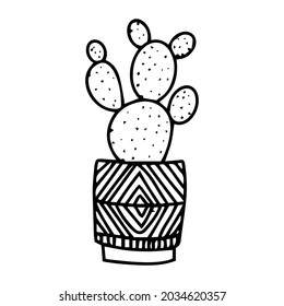 Hand drawn doodle cacti in pot. Vector decorative indoor and office cacti. doodle plants illustration isolated on a white background. logo cactus