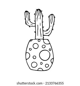 Hand drawn doodle cactus. Vector succulent in pot. Houseplant. Outline.