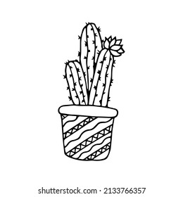 Hand drawn doodle cactus. Vector succulent in pot. Houseplant. Outline.