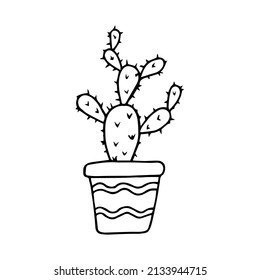 Hand drawn doodle cactus. Vector succulent in pot. Houseplant. Outline.
