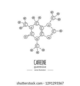 Hand drawn doodle Caffeine chemical formula icon Vector illustration Cartoon molecule Sketch Guaranine symbol molecular structure Structural scientific hormone formula isolated on white background