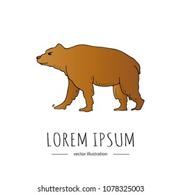 Hand drawn doodle Canada animal wild bear icon Vector illustration isolated symbol on white background Cartoon element mammal grizzly, black, brown, polar bear, kermode