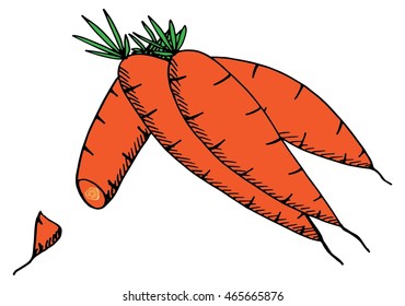 Hand drawn doodle carrot
