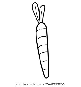 Hand drawn doodle carrot with leaf isolated on white background. Vector illustration.