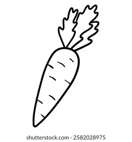 Hand drawn doodle carrot with leaf isolated on white background. Vector illustration.