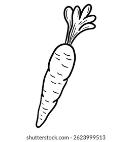 Hand drawn doodle carrot with leaf isolated on white background. Vector illustration.