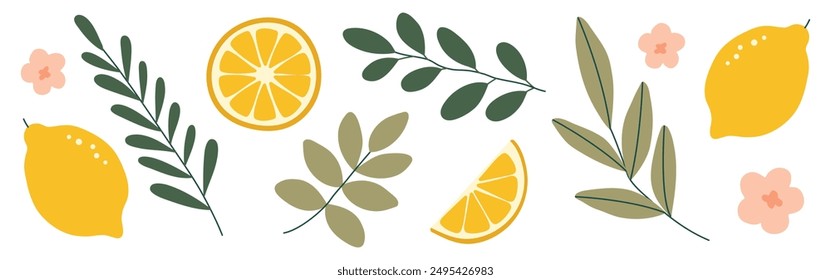 Hand drawn doodle citrus set with lemons, flowers and leaves isolated on white background. Vector illustration