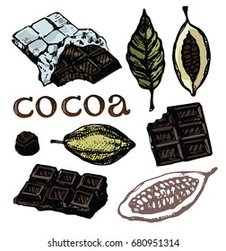 Hand drawn doodle cocoa and chocolate. Cacao.