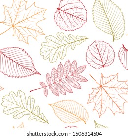 Hand drawn doodle colorful autumn leafes seamless pattern. Autumn vector background for print, textile, web isolated on white background