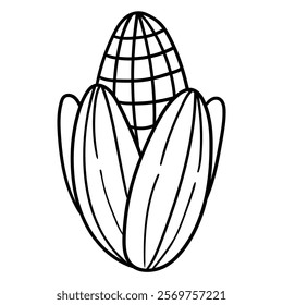 Hand drawn doodle corn isolated on white background. Vector illustration.