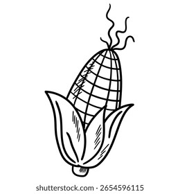 Hand drawn doodle corn isolated on white background. Vector illustration.