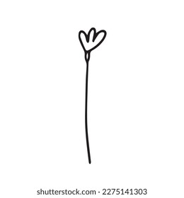 Hand drawn doodle cornflower sketch. Cute flower sketch